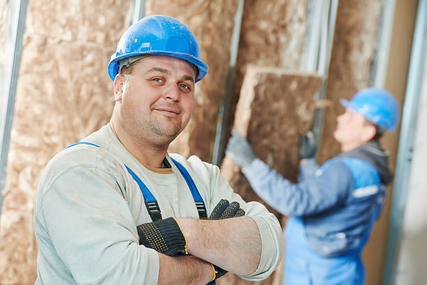 Best Geographic-Specific Insulation Services in USA